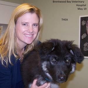 Meet your Posher, Corrie